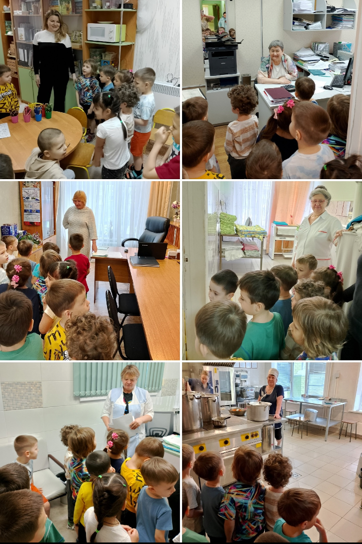 professii v sadu 7gr